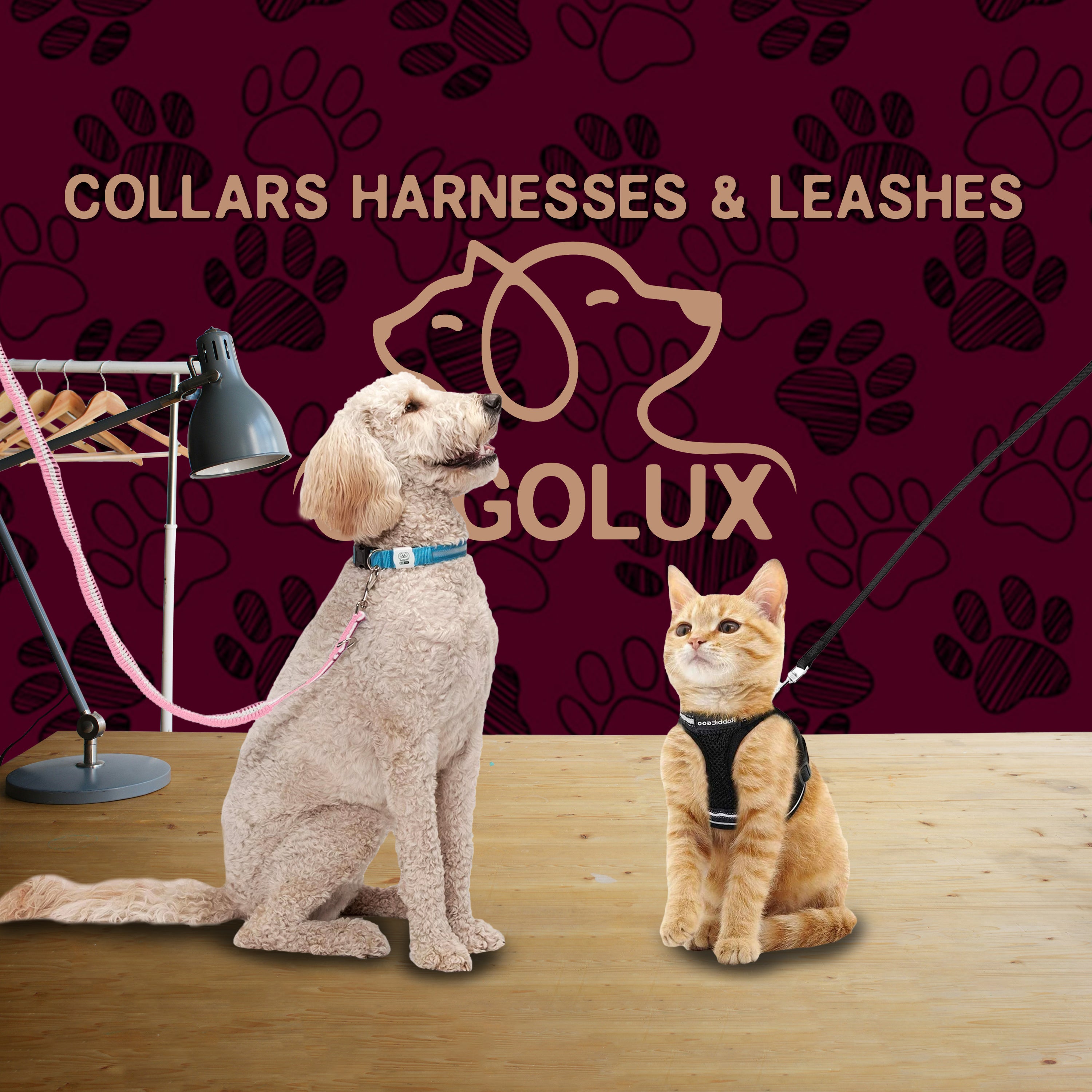 Collars, Harnesses & Leashes