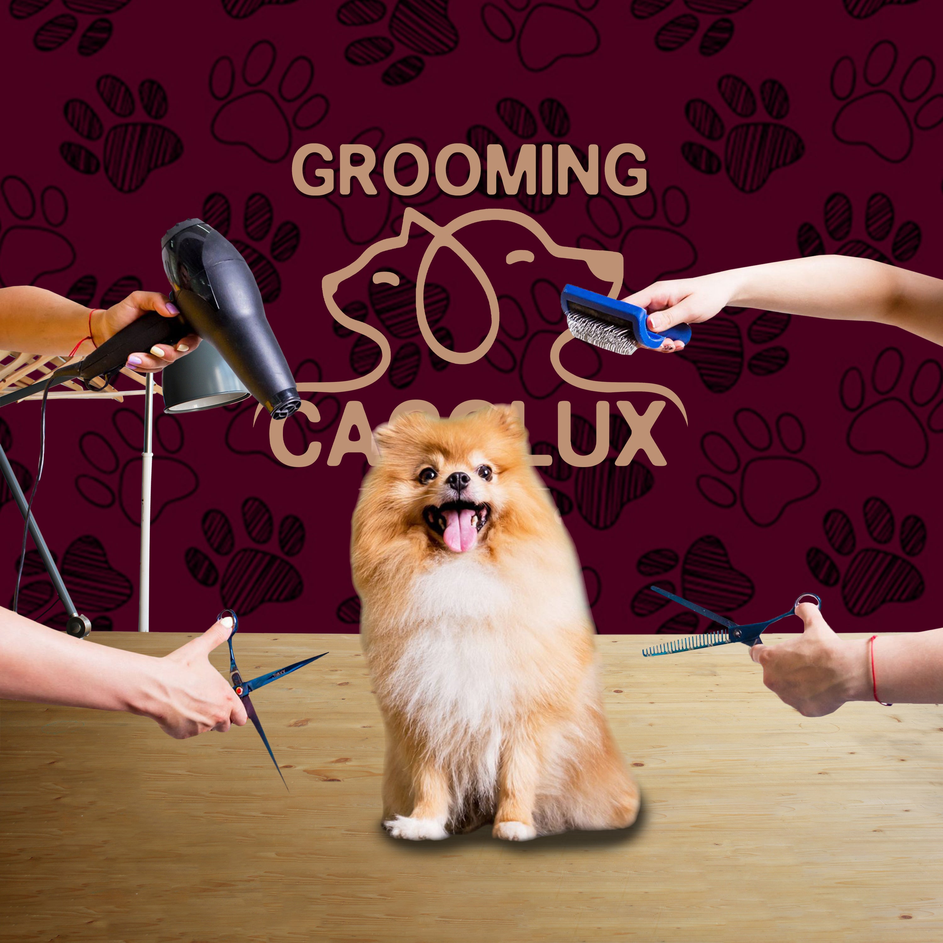 Grooming