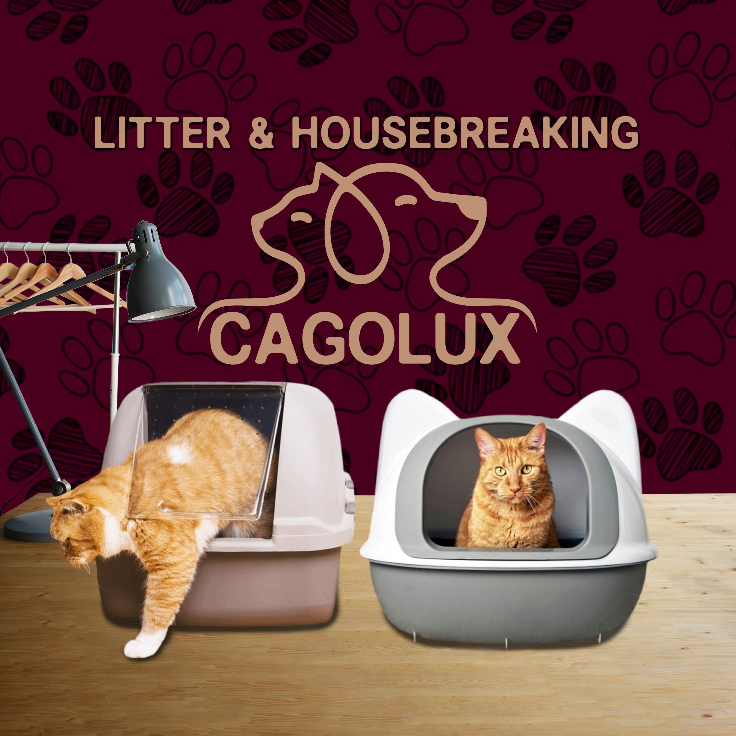 Litter & Housebreaking