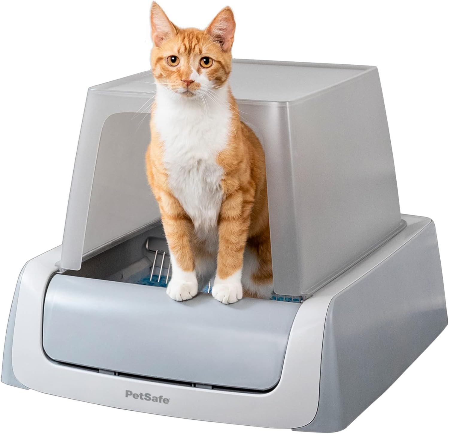 PetSafe ScoopFree Crystal Plus Selbstreinigende Katzentoilette mit Fronteinstieg