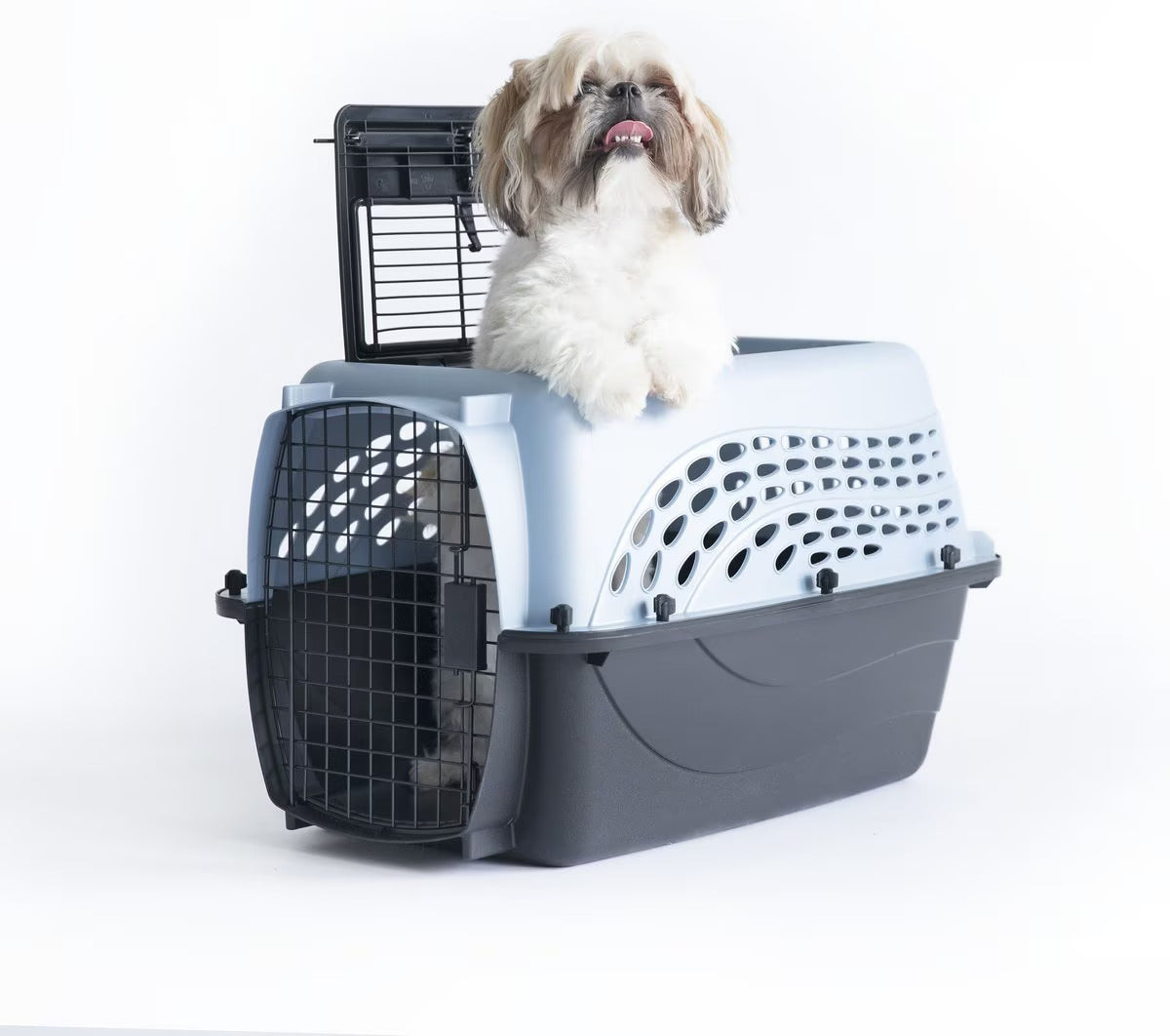 Petmate Two-Door Small Dog & Cat Carrier - Top and Front Loading, Eco-Friendly Design, 24-Inch Length, For Pets Up to 15 Pounds