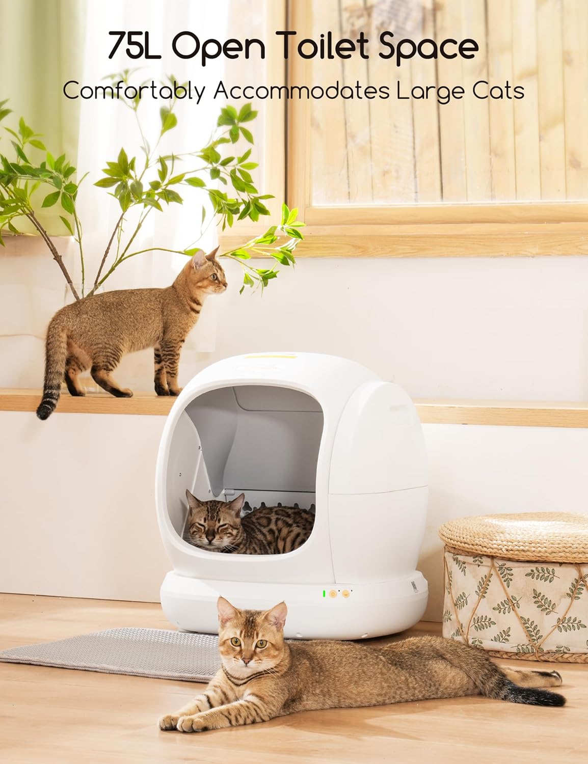 Meowant Self-Cleaning Cat Litter Box – 75L Extra Large Automatic Box with Safety Features, APP Control, and Odor Control