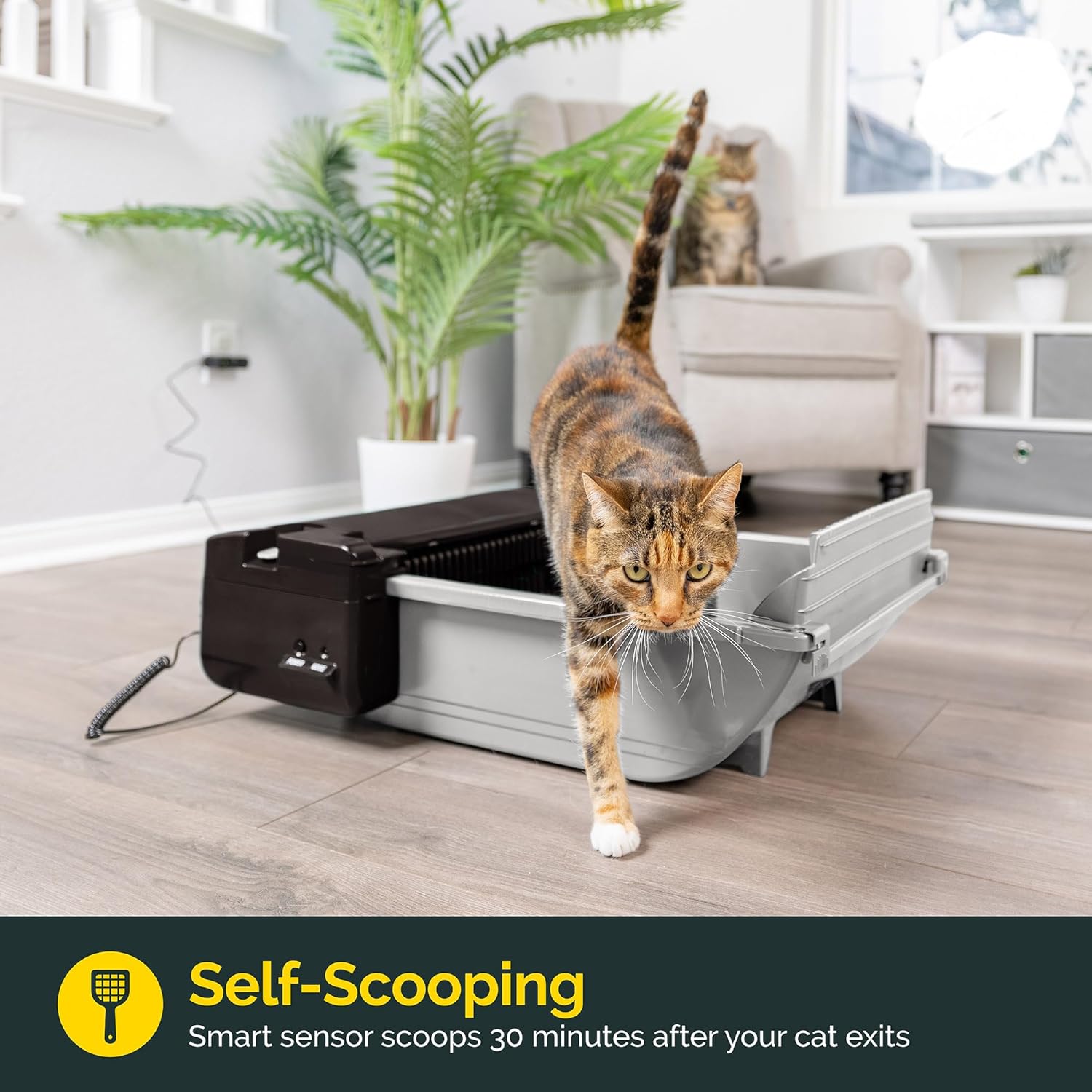 Pet Zone Smart Scoop Self-Cleaning Cat Litter Box - Semi-Automatic with 6 Bags & Carbon Filter for Up to 2 Cats (6-16 lbs)