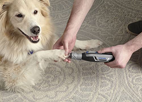 Dremel PawControl Krallenschleifer und -trimmer für Hunde – Sicheres und humanes Werkzeugset zur Haustierpflege