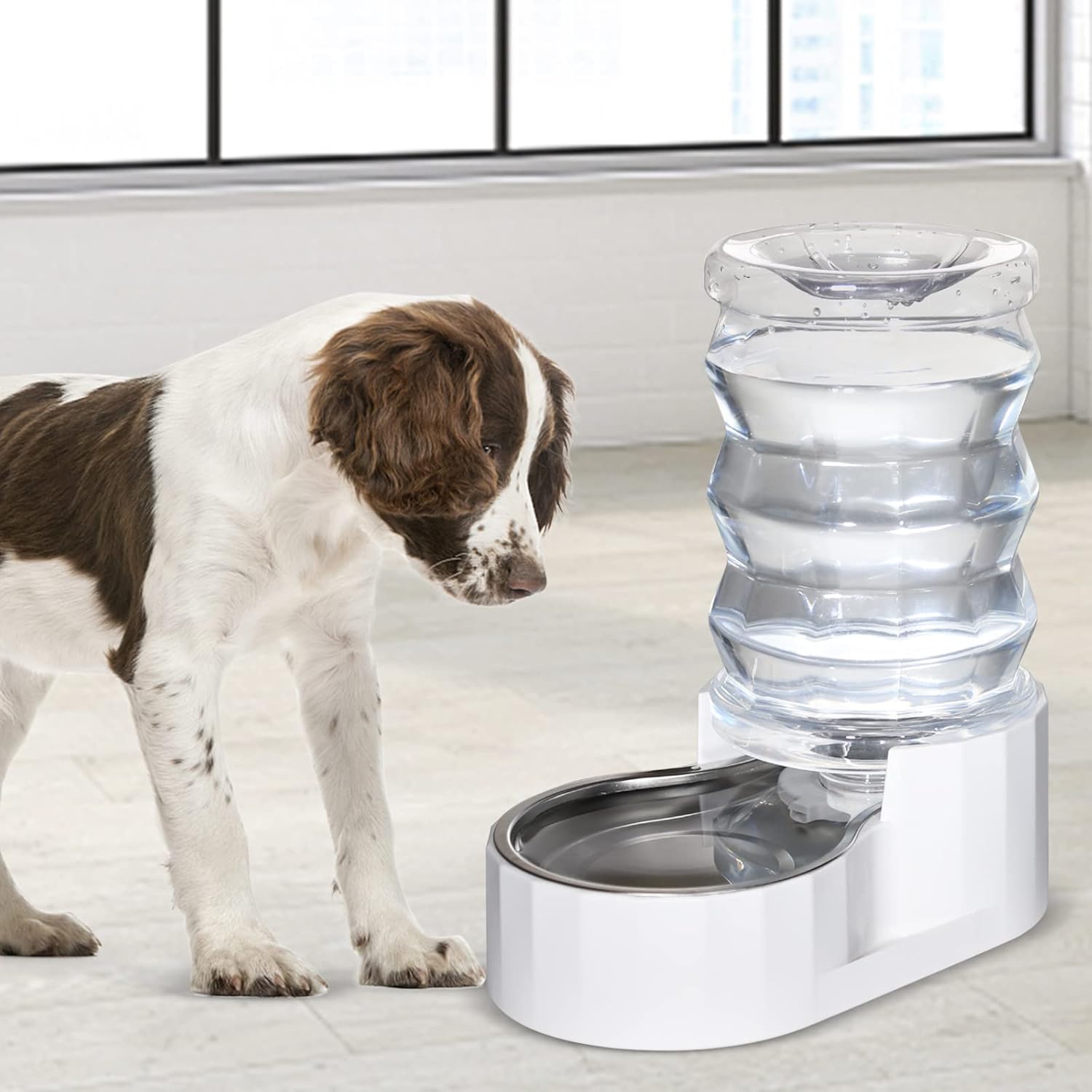 RIZZARI Automatic 6L Pet Water Dispenser - Stainless Steel Gravity-Feed