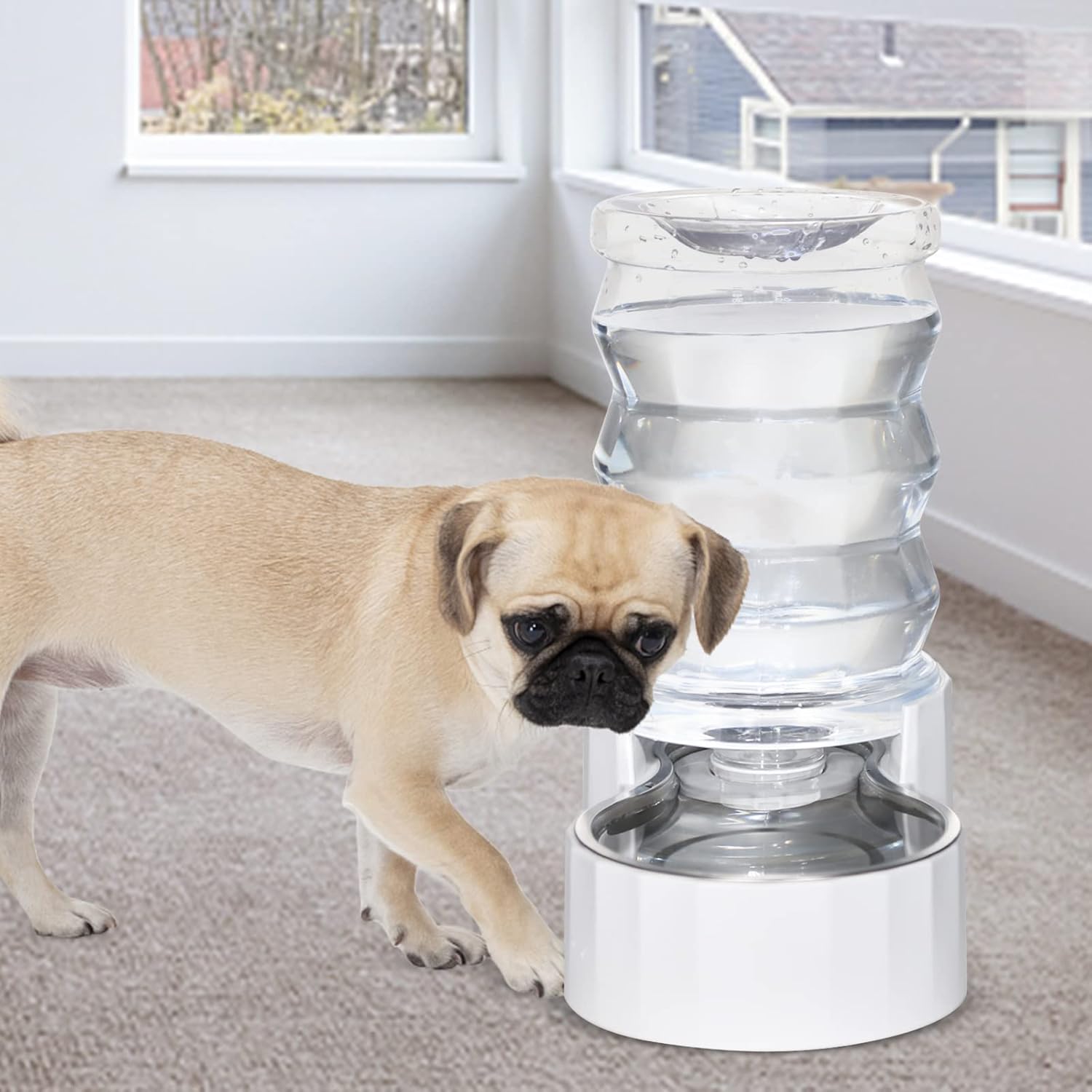 RIZZARI Automatic 6L Pet Water Dispenser - Stainless Steel Gravity-Feed