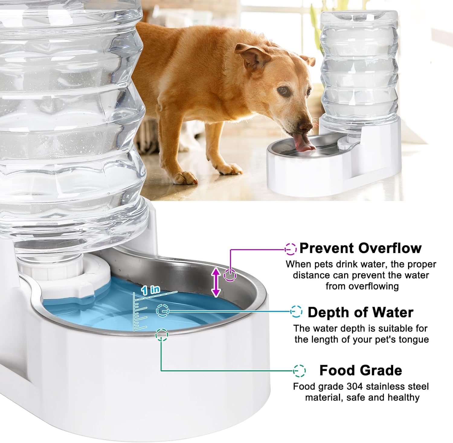 RIZZARI Automatic 6L Pet Water Dispenser - Stainless Steel Gravity-Feed