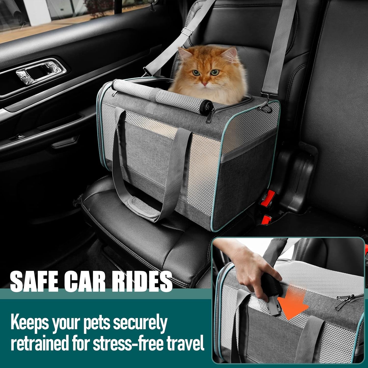 Premium-Transportbox für große Katzen und kleine Hunde – Reisetasche mit weichen Seiten, zusammenklappbares Design, Zugang von oben